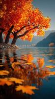 Colorful autumn trees reflect in serene lake waters during a calm afternoon in nature photo