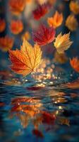 Colorful autumn leaves floating on water creating a serene and reflective atmosphere in nature photo