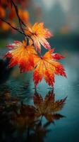 Autumn leaves glisten with droplets as they rest above a tranquil pond at dusk in a serene natural setting photo