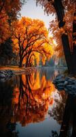 Autumn trees reflecting on a tranquil lake at sunset in a vibrant park setting photo