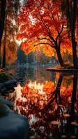 Colorful autumn landscape with vibrant foliage reflecting in calm water during sunset in a serene park photo