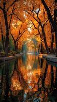 Autumn foliage reflects in serene waterway surrounded by trees in a tranquil park during sunset photo