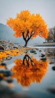 Vibrant autumn tree reflects in calm water at riverside during overcast day in picturesque landscape photo