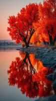 Autumn trees reflect stunning orange hues on a calm river at sunset near a serene lakeside photo