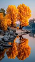 Vibrant autumn trees reflect in calm river waters during sunset at a serene outdoor location photo
