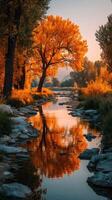 Autumn foliage reflects on a serene riverbank during sunset photo