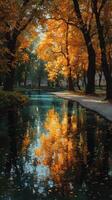 Autumn foliage reflects in peaceful water near a park pathway during golden hour photo