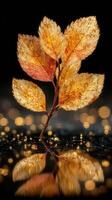 Golden leaves glimmering with droplets in a dark setting with soft lights at night photo