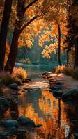 Autumnal stream in a tranquil forest with golden leaves reflecting on calm water photo
