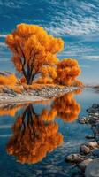 Vibrant autumn trees reflect in a serene river under a clear blue sky during a sunny afternoon photo
