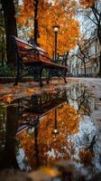 Autumn afternoon stroll along a tree-lined pathway with vibrant orange leaves and reflections in the puddles photo
