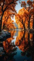 Autumn colors reflect beautifully on serene lake surrounded by trees during golden hour photo