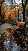 Autumn park scene with a wooden bench reflecting in a puddle on a cloudy day in a historic city photo