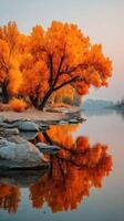 Vibrant autumn colors reflected in calm river landscape during golden hour near serene tree line photo