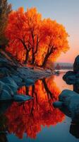 Vibrant autumn trees reflect in calm water at sunset beside riverbanks photo