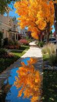 Vibrant autumn colors reflect on a sidewalk during a sunny afternoon in a picturesque neighborhood photo