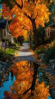 Vibrant autumn walkway with golden leaves reflecting in calm water near homes photo