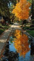 Vibrant autumn street reflecting colorful tree in a peaceful neighborhood during a sunny afternoon photo