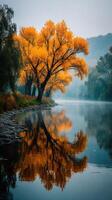 Vibrant autumn trees reflect on tranquil river at sunrise in serene landscape photo