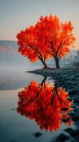 Brilliant autumn trees reflect on calm lake during sunset in serene nature setting photo