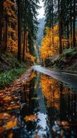 Vibrant autumn foliage and reflective water along a quiet forest road in the mountains photo