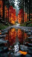 Stunning autumn landscape with vibrant colors reflected in a tranquil forest puddle photo