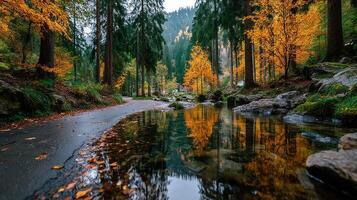 Colorful autumn landscape with reflective water and vibrant trees in a serene forest setting photo
