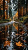 Quiet forest road reflecting autumn colors by a tranquil puddle in the woods during a serene afternoon photo