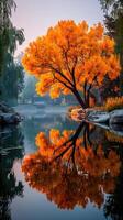 Autumn tree with bright orange leaves reflecting in a calm lake at dawn in a serene park setting photo