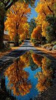 Vibrant autumn foliage reflects on a serene road after rain in a picturesque rural setting photo