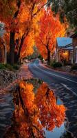 Vibrant autumn colors reflect on a quiet road lined with trees and charming houses in a serene setting photo