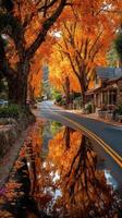 Vibrant autumn landscape with orange leaves lining a quiet road and reflections in puddles during a sunny afternoon photo