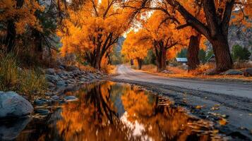 Colorful autumn trees lining a peaceful dirt road with a reflection in a shallow puddle photo