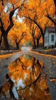 Vibrant autumn colors reflecting in a puddle on a tranquil country road photo