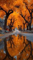 Autumn trees reflect on a tranquil road creating a stunning natural landscape in a vibrant setting photo