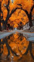 Golden autumn trees reflect in peaceful puddle along serene road in rural area surrounded by charming old buildings photo