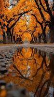Vibrant autumn colors reflected in a puddle on a country road lined with trees photo