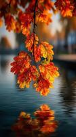 Vibrant autumn leaves reflect on calm water near a serene lakeside in mid-afternoon sunlight photo