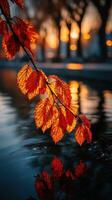 Vibrant autumn leaves reflecting on calm water during sunset near a serene park photo