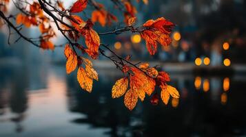 Golden autumn leaves hang gracefully over a calm lake at dusk, showcasing vibrant fall colors in a tranquil scene photo