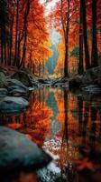 Autumn foliage reflects in calm water at a forest stream during early morning light photo