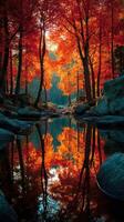 Vibrant autumn foliage reflecting in calm water at a serene woodland location photo