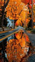 Autumn colors reflect on a quiet country road surrounded by vibrant foliage and charming houses photo