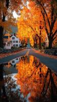 Vibrant autumn colors reflect on a quiet suburban road lined with trees and houses during sunset photo