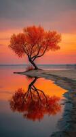 Vibrant orange tree reflects beautifully in calm waters at sunset on a serene lakeside photo