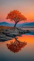 Bright orange tree reflects on calm lake during sunset in serene landscape photo