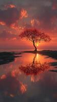 Stunning sunset over tranquil water reflecting a solitary tree with vibrant leaves on a calm evening by the shore photo