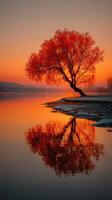 Beautiful autumn tree stands by the river at sunset reflecting vibrant colors on the water photo