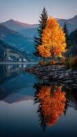 Vibrant autumn tree reflects on calm lake at sunset in mountainous landscape photo