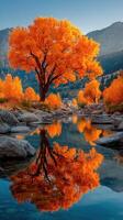 Vibrant autumn colors reflect in still water near a majestic tree in a serene landscape photo